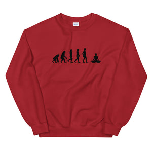 EVOLUTION MEDIATION Sweatshirt