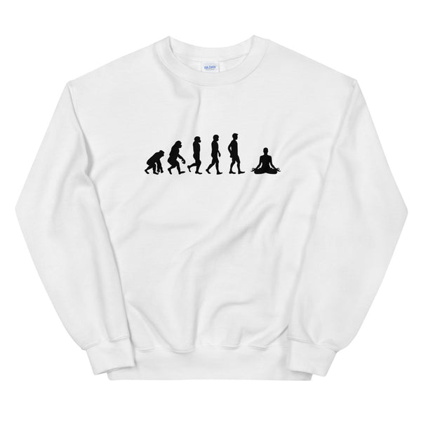 EVOLUTION MEDIATION Sweatshirt